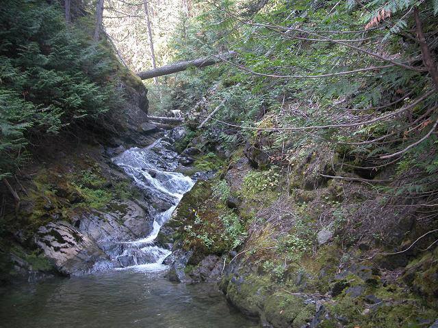 Beautiful Creek on Eureka Gold Sands claim